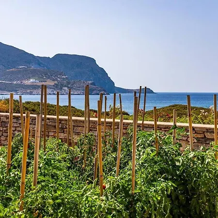 Holiday home House Of Harmony - Beachfront