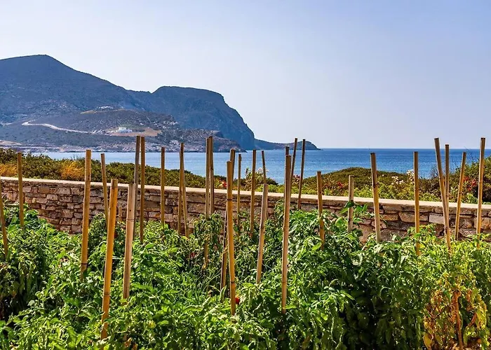 Holiday home House Of Harmony - Beachfront