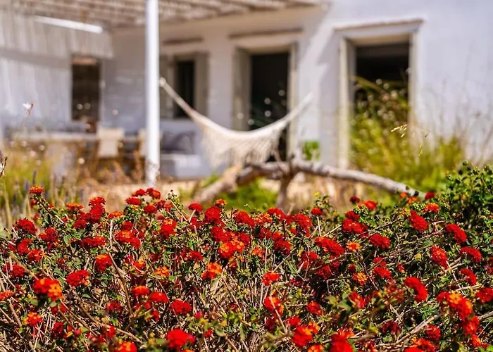 House Of Harmony - Beachfront Holiday home Andiparos